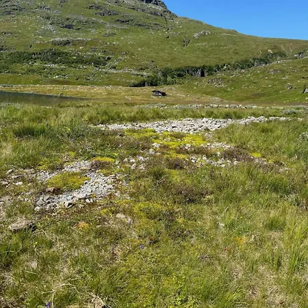 Wild Norwegian Nature, Between Preikestolen & Trolltunga Sauda
