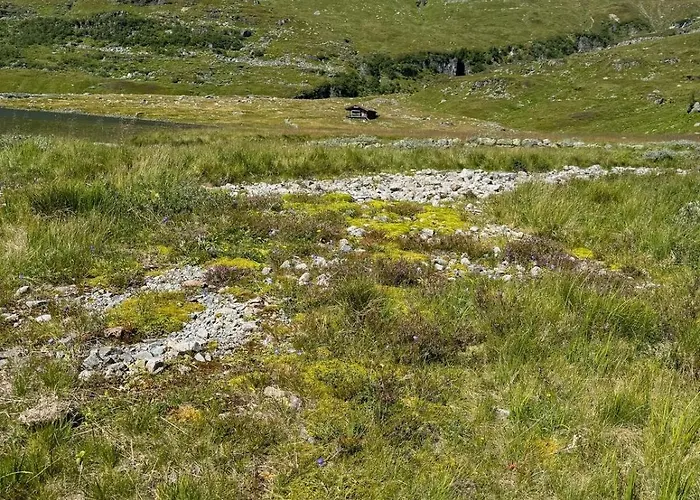 Wild Norwegian Nature, Between Preikestolen & Trolltunga Sauda
